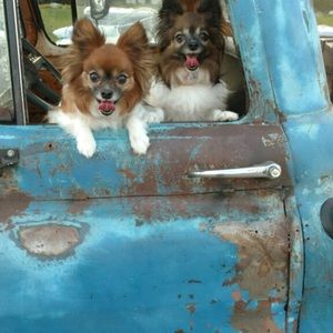 Meet your Posher, Pamela